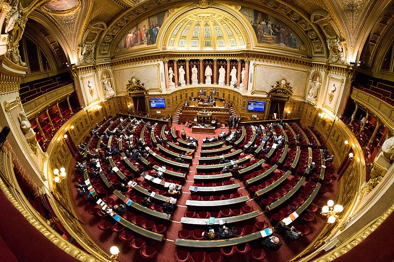 Parlamentarii francezi dau tonul reglementării activității influencerilor și influenței comerciale