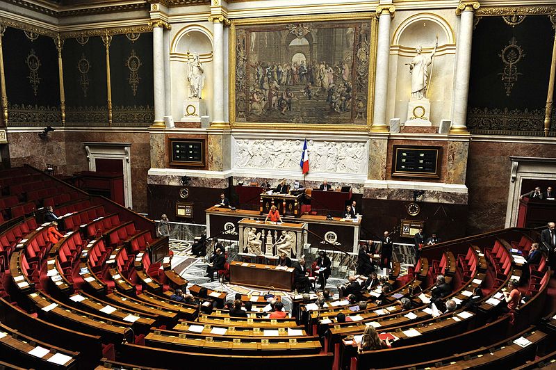 Adunarea Națională Franceză combate prin lege interferența străină